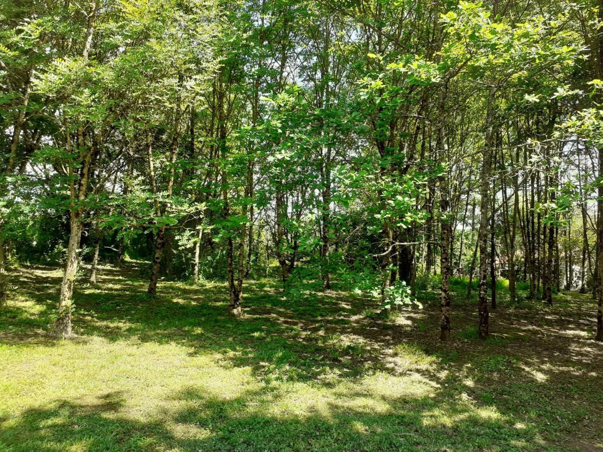 La Villa Le Petit Bois, Pres Rocamadour, Padirac Lavergne  Kültér fotó